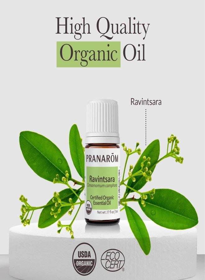 Pranarom - Ravintsara ct 1,8 cineole Essential Oil - Organic - for Health Enthusiasts - Diffusing for Relaxation Therapy - Steam-Distilled, Non-GMO - 100% Pure, Certified Organic - Image 3